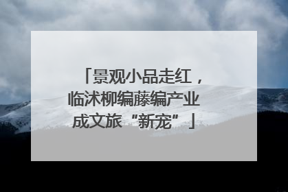 景观小品走红，临沭柳编藤编产业成文旅“新宠”
