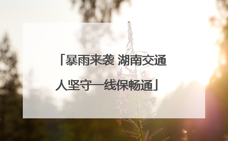 暴雨来袭 湖南交通人坚守一线保畅通