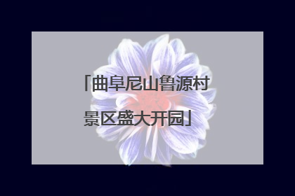曲阜尼山鲁源村景区盛大开园
