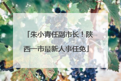 朱小青任副市长！陕西一市最新人事任免