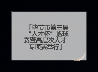 毕节市第三届“人才杯”篮球赛暨高层次人才专项赛举行