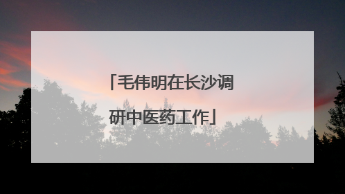毛伟明在长沙调研中医药工作