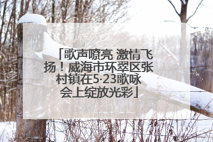 歌声嘹亮 激情飞扬！威海市环翠区张村镇在5·23歌咏会上绽放光彩