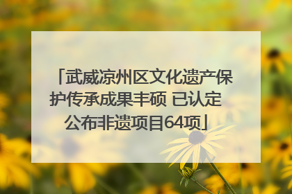 武威凉州区文化遗产保护传承成果丰硕 已认定公布非遗项目64项