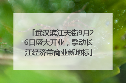 武汉滨江天街9月26日盛大开业，擎动长江经济带商业新地标