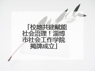 校地共建赋能社会治理！淄博市社会工作学院揭牌成立