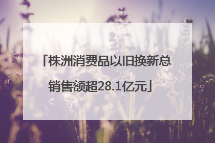 株洲消费品以旧换新总销售额超28.1亿元