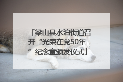 梁山县水泊街道召开“光荣在党50年”纪念章颁发仪式