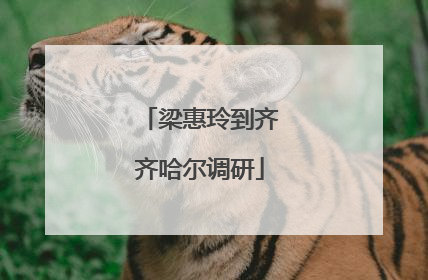 梁惠玲到齐齐哈尔调研