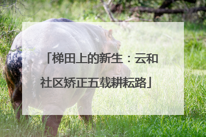 梯田上的新生：云和社区矫正五载耕耘路
