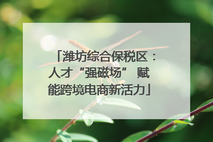 潍坊综合保税区：人才“强磁场” 赋能跨境电商新活力