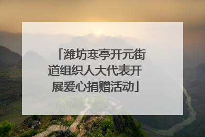潍坊寒亭开元街道组织人大代表开展爱心捐赠活动