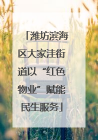 潍坊滨海区大家洼街道以“红色物业”赋能民生服务