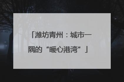 潍坊青州：城市一隅的“暖心港湾”