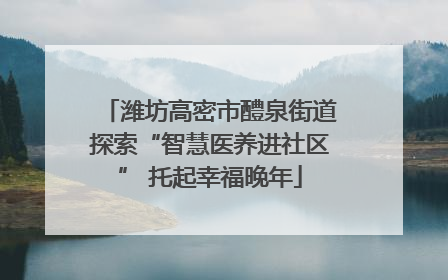 潍坊高密市醴泉街道探索“智慧医养进社区” 托起幸福晚年