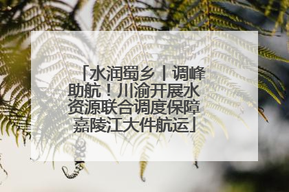 水润蜀乡丨调峰助航！川渝开展水资源联合调度保障嘉陵江大件航运