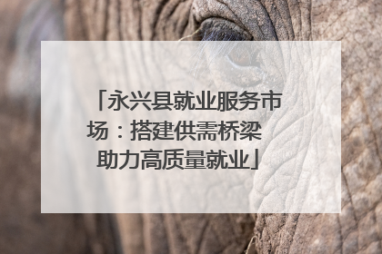 永兴县就业服务市场：搭建供需桥梁 助力高质量就业