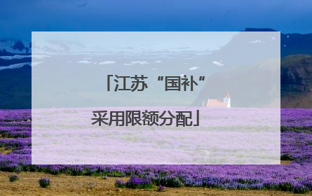 江苏“国补”采用限额分配