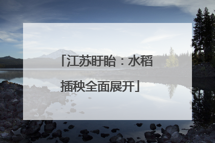 江苏盱眙：水稻插秧全面展开