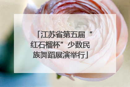 江苏省第五届“红石榴杯”少数民族舞蹈展演举行