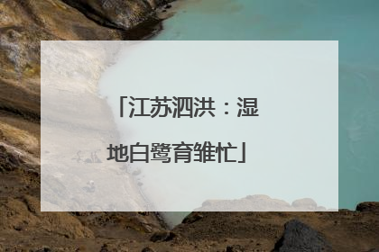 江苏泗洪：湿地白鹭育雏忙