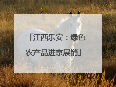 江西乐安：绿色农产品进京展销