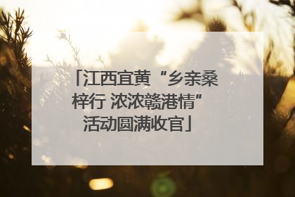 江西宜黄“乡亲桑梓行 浓浓赣港情”活动圆满收官
