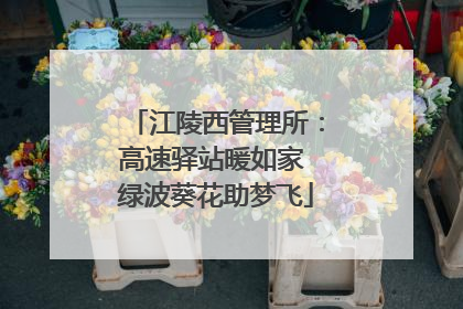 江陵西管理所：高速驿站暖如家 绿波葵花助梦飞