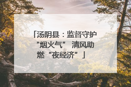 汤阴县：监督守护“烟火气” 清风助燃“夜经济”