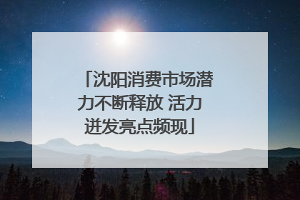 沈阳消费市场潜力不断释放 活力迸发亮点频现