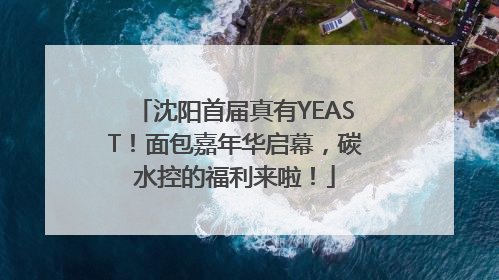沈阳首届真有YEAST！面包嘉年华启幕，碳水控的福利来啦！