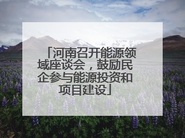 河南召开能源领域座谈会，鼓励民企参与能源投资和项目建设