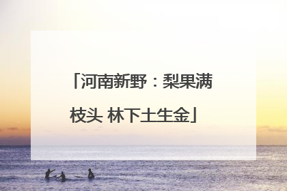 河南新野：梨果满枝头 林下土生金