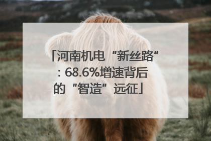 河南机电“新丝路”：68.6%增速背后的“智造”远征