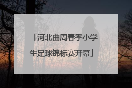 河北曲周春季小学生足球锦标赛开幕