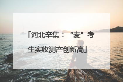 河北辛集：“麦”考生实收测产创新高