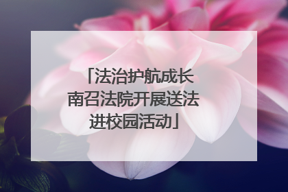 法治护航成长 南召法院开展送法进校园活动