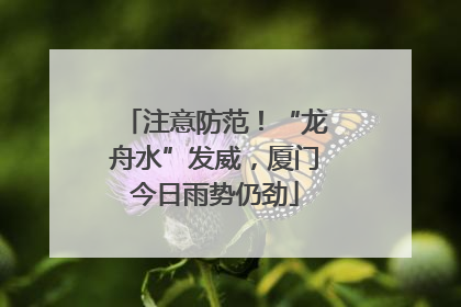 注意防范！“龙舟水”发威，厦门今日雨势仍劲