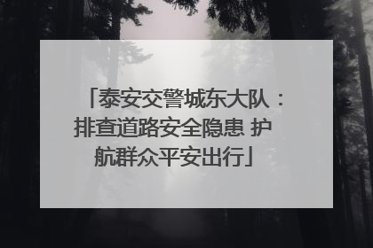 泰安交警城东大队：排查道路安全隐患 护航群众平安出行