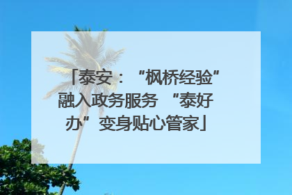泰安：“枫桥经验”融入政务服务 “泰好办”变身贴心管家