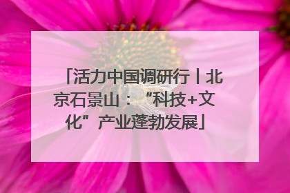 活力中国调研行丨北京石景山：“科技+文化”产业蓬勃发展