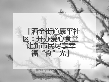 洒金街道康平社区：开办爱心食堂 让新市民尽享幸福“食”光