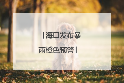 海口发布暴雨橙色预警