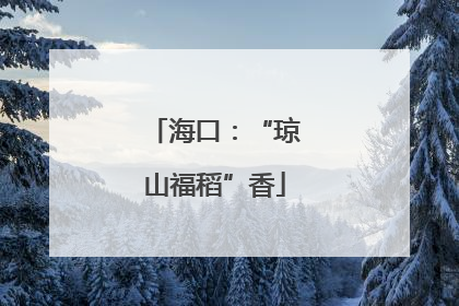海口：“琼山福稻”香