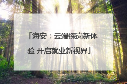 海安：云端探岗新体验 开启就业新视界
