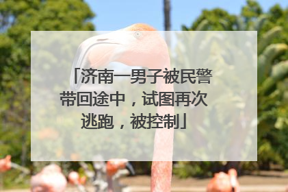 济南一男子被民警带回途中，试图再次逃跑，被控制