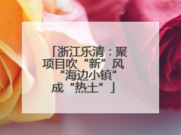 浙江乐清：聚项目吹“新”风 “海边小镇”成“热土”