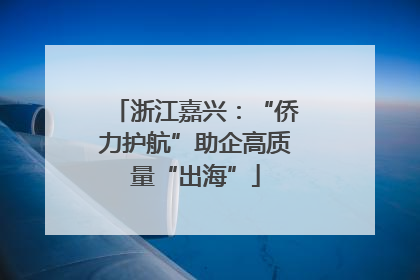 浙江嘉兴：“侨力护航”助企高质量“出海”