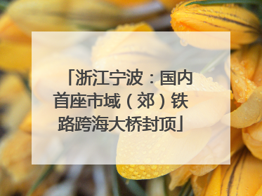 浙江宁波：国内首座市域（郊）铁路跨海大桥封顶