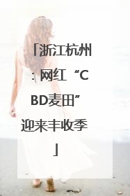 浙江杭州：网红“CBD麦田”迎来丰收季